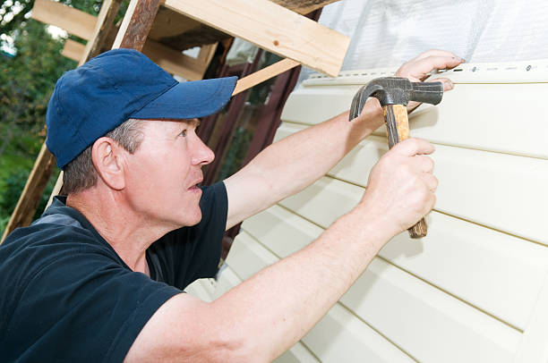 Best Stone Veneer Siding  in Willard, UT